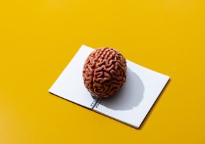 Notebook and brain on yellow background