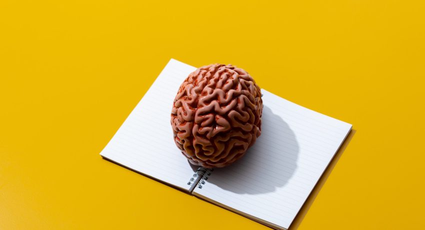 Notebook and brain on yellow background